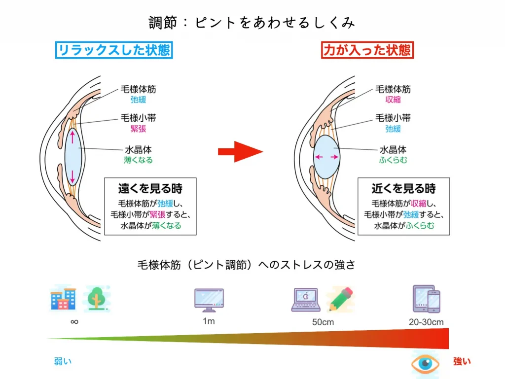 近くをみる時間が長い 生活 たける眼科 福岡市早良区 高取商店街 西新駅 藤崎駅