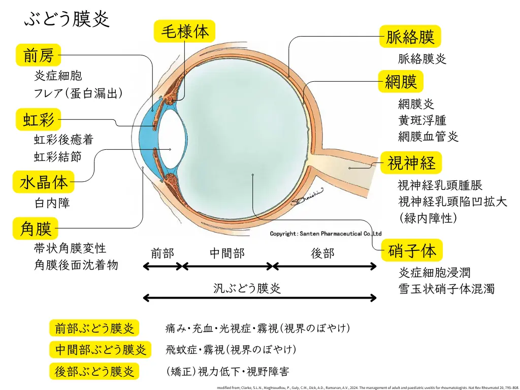 Examples characterization 意味 粉体の基本的な物理的特性評価