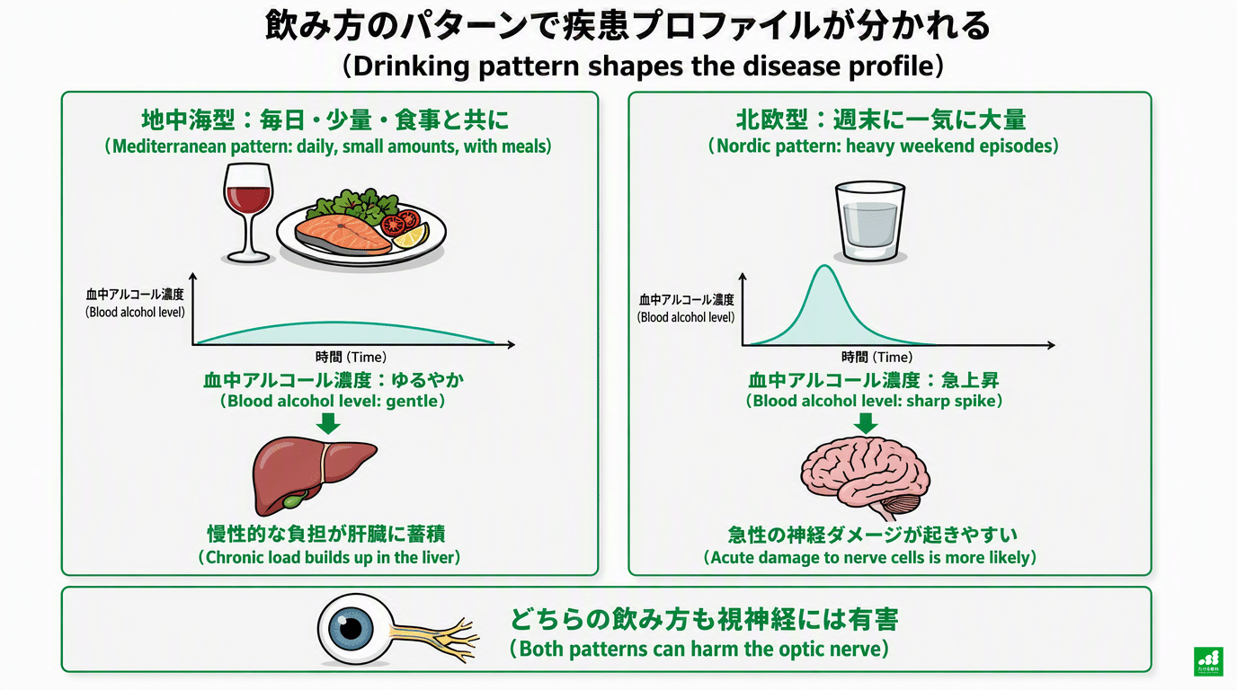 飲み方パターンによる疾患プロファイル分岐の模式図(日英併記):地中海型(毎日・少量・食事と共に、血中アルコール濃度はゆるやかで肝臓に慢性的な負担)と北欧型(週末に一気に大量、急上昇で急性の神経ダメージ)の2パネル比較。どちらの飲み方も視神経には有害という注記付き