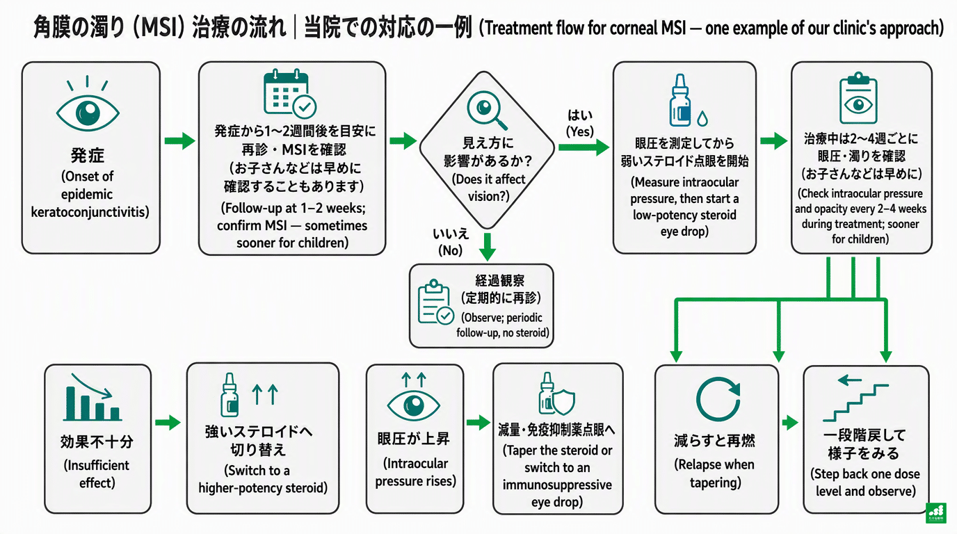 角膜の濁り(MSI)に対する当院での対応の一例を示すフローチャート。発症から1〜2週間後を目安に再診・MSIを確認したうえで、見え方に影響があるかで分岐する。影響がなければ経過観察、影響があれば眼圧を測定してから弱いステロイド点眼を開始し、治療中は2〜4週ごとに眼圧・濁りを確認する(お子さんなどは早めに)。効果不十分・眼圧上昇・再燃それぞれの対応までの流れ